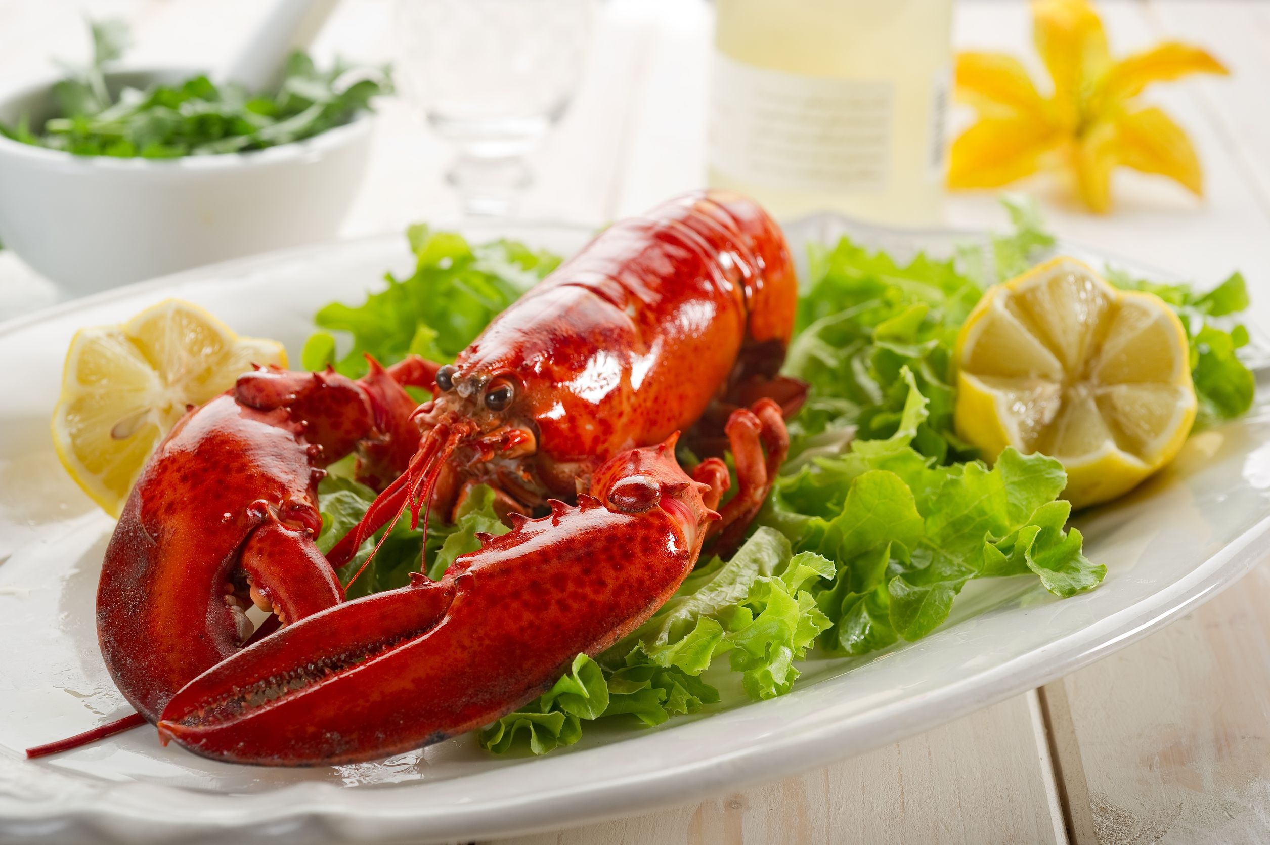 What to Know If You Want to Order Fresh Lobster Online